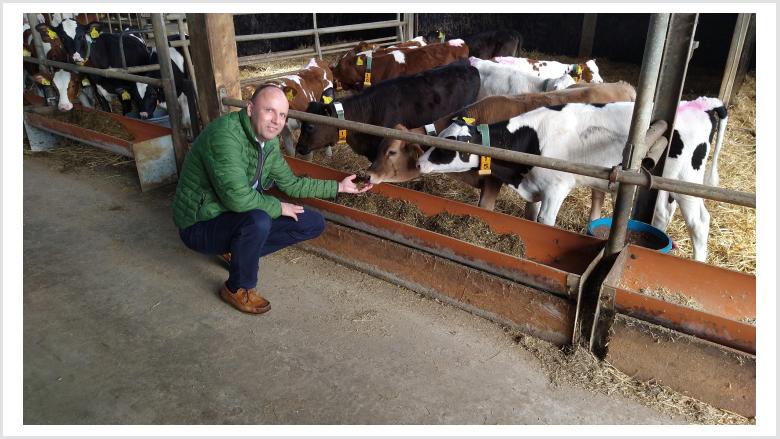 Blühwiese und landwirtschaftlicher Betrieb in der Nähe von Kropp